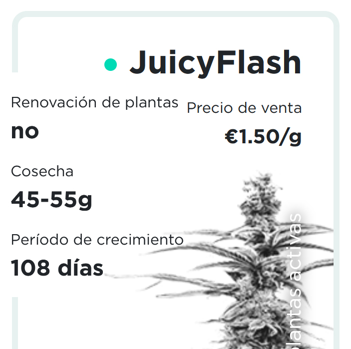 JuicyFields - JuicyFlash - es