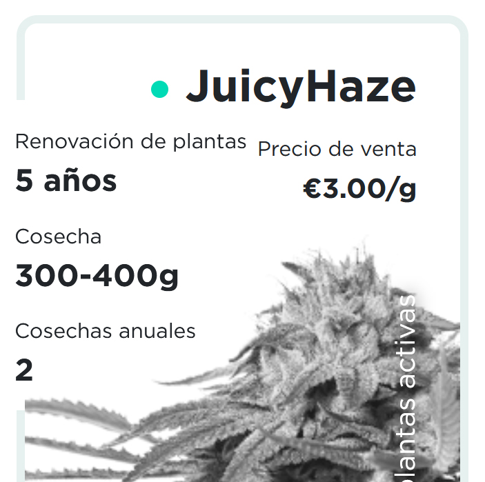 JuicyFields - JuicyFlash - es