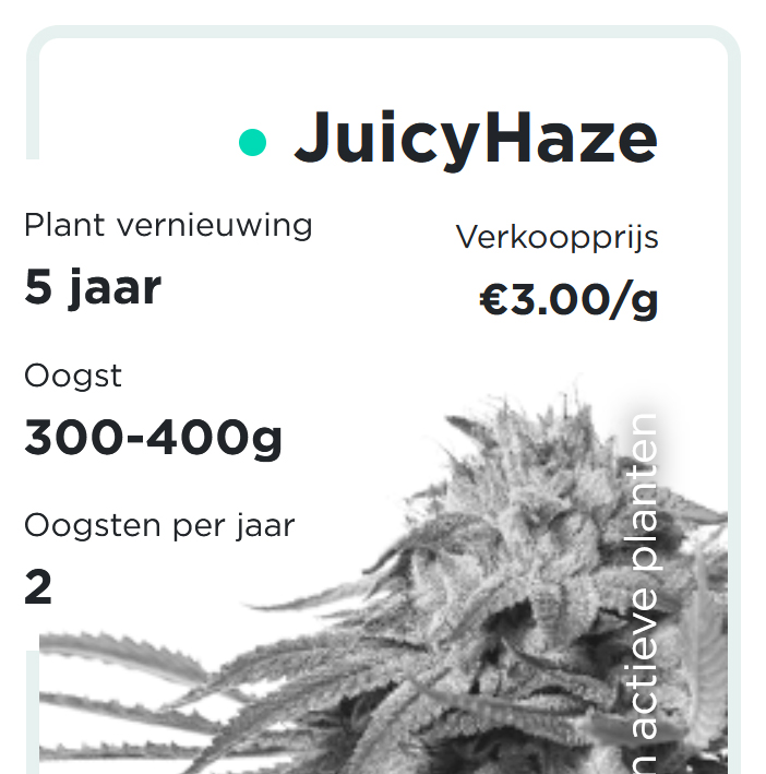 JuicyFields - JuicyFlash - nl