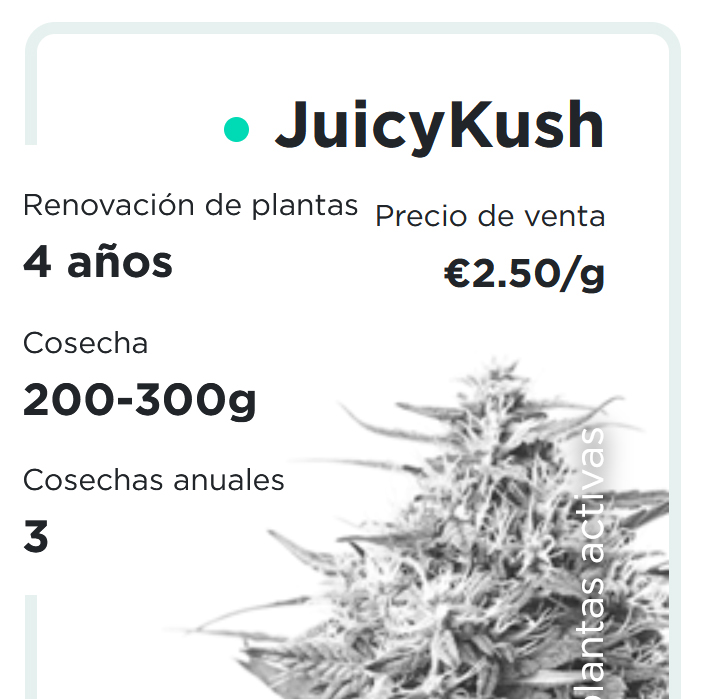 JuicyFields - JuicyKush - es