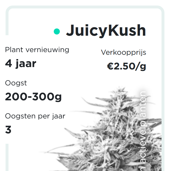 JuicyFields - JuicyKush - nl