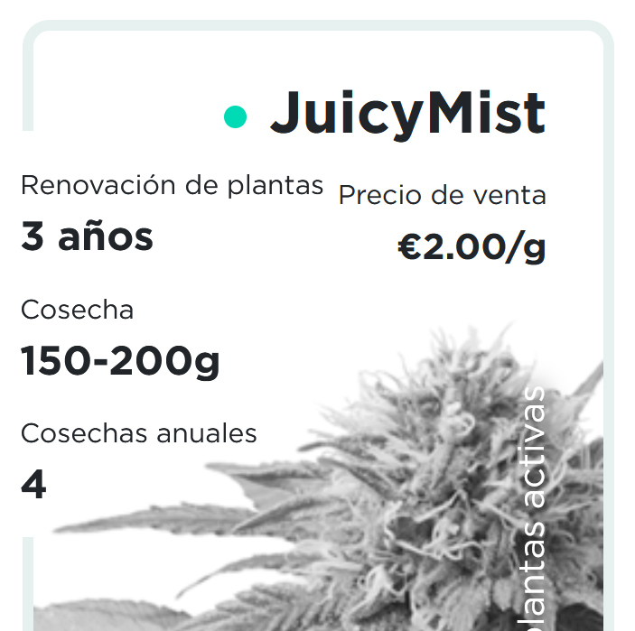JuicyFields - JuicyMist - es