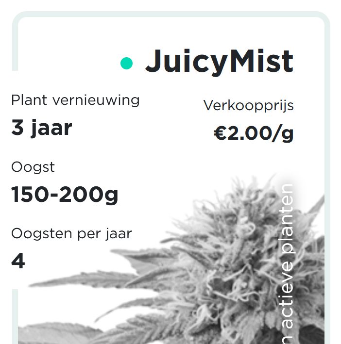 JuicyFields - JuicyMist - nl