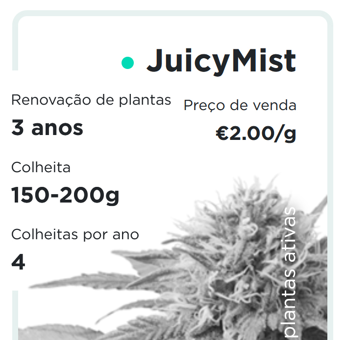 JuicyFields - JuicyMist - pt