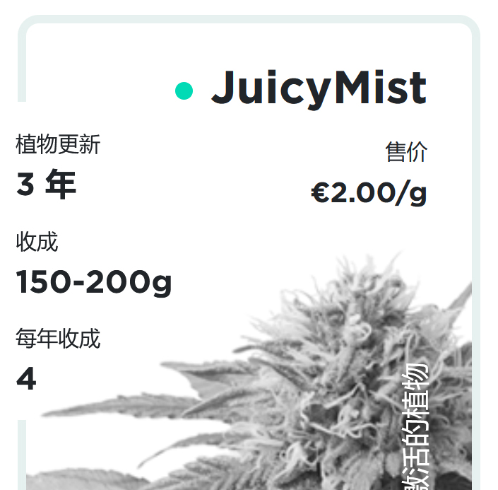 JuicyFields - JuicyMist - zn